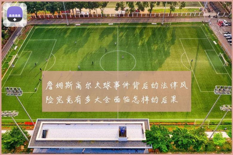 詹姆斯高尔夫球事件背后的法律风险究竟有多大会面临怎样的后果