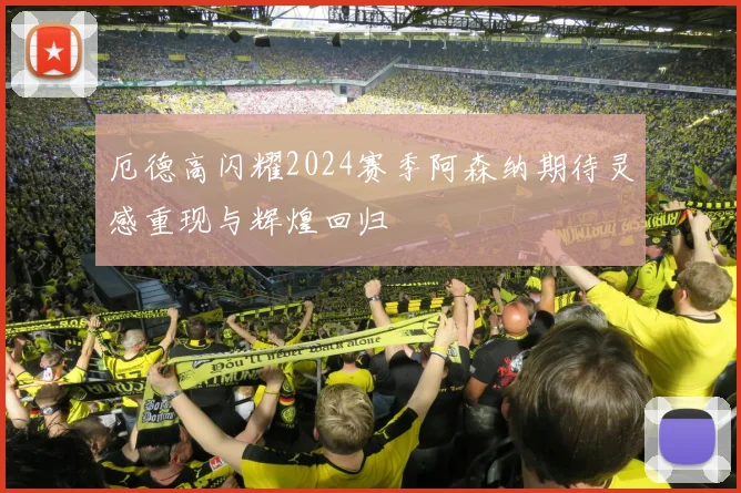 厄德高闪耀2024赛季阿森纳期待灵感重现与辉煌回归